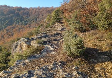 Tocht Stappen Saint-Georges-les-Bains -  col de Rotison - Photo