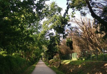 Trail Walking Dinard - dinard - Photo