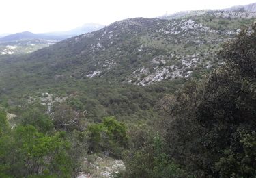 Tour Wandern Plan-d'Aups-Sainte-Baume - col du cros par la brasque - Photo