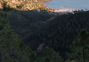 Trail Walking Saint-Raphaël - z pic martin 10-12-19 - Photo
