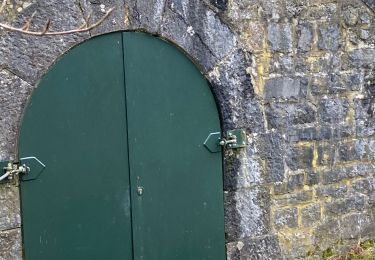 Trail Walking Rochefort - Rochefort - Photo