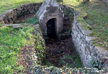 Trail Walking Erdeven - PR_56_Erdeven_CA_03_Sentier-Des-Villages-Nd_Circuit1b_20221106 - Photo