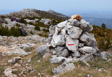 Tocht Stappen Vauvenargues - Vauvenargues - Col de Suberoque - Garagaï - Croix de Provence - Prieuré - Sentier Imoucha - Le Tholonet - Photo