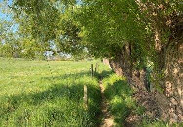 Trail Walking Berchem-Sainte-Agathe - Sint-Agatha-Berchem - Bekkerzeel Zellik 15,5 km - Photo