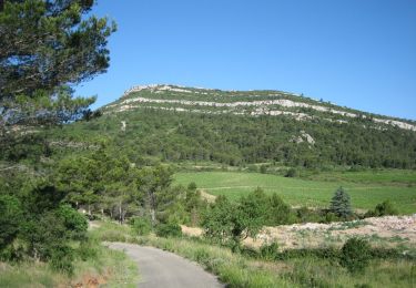 Trail Walking Saint-Couat-d'Aude - Reco Officielle Marche RED'S 15.10.2022 - Photo