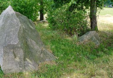 Tour Zu Fuß Neustadt am Rübenberge - Mardorf Rundwanderweg M1 (Dorfpfad) - Photo