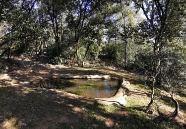 Trail Nordic walking Labastide-de-Virac - la Bastide de Virac (pont d'Arc)  - Photo