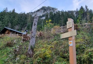 Randonnée Marche Bernex - Tour Dent d'Oche - Photo