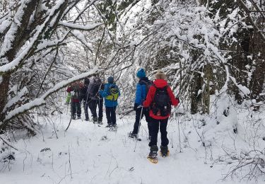 Percorso Racchette da neve Fraroz - rando raquette haut joux - Photo