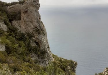 Tour Wandern La Ciotat - Grotte des Immigrés  - Photo