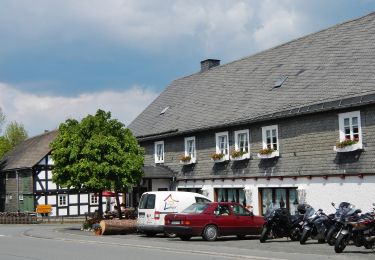 Percorso A piedi Medebach - Schloßberg Rundweg A2 - Photo