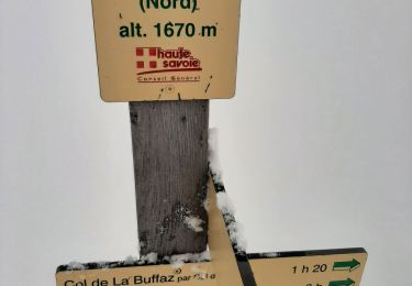 Trail Snowshoes Glières-Val-de-Borne - GLIERES: PAS DU LOUP RAQUETTES - Photo