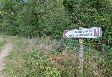 Trail Walking Ballancourt-sur-Essonne - Forêt Hospitalière de la Coudraye Ballancourt-sur-Essonne  - Photo