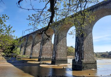 Trail Walking Auray - PR_56_Auray_AA_01_Belle-Boucle_Circuit4a_20210413 - Photo