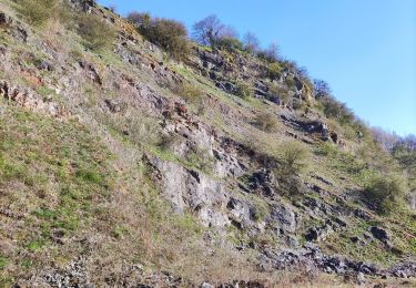 Percorso Marcia Flémalle - Promenade vers la réserve naturelle « Aux roches »  - Photo