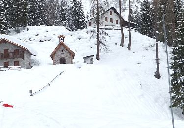 Randonnée A pied Forni di Sopra - Anello di Bianchi - Photo