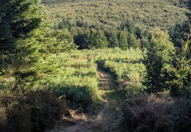 Randonnée Trail Arfons - raf ballade - Photo