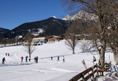 Tour Zu Fuß Ramsau am Dachstein - Kulmberg Rundweg 