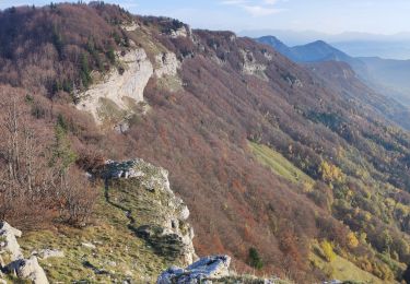 Trail Walking Aillon-le-Jeune - je ne sais plud - Photo