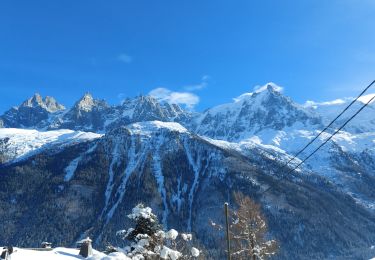 Tour Schneeschuhwandern Chamonix-Mont-Blanc - 20230131 Chamonix Bois Prin - Photo