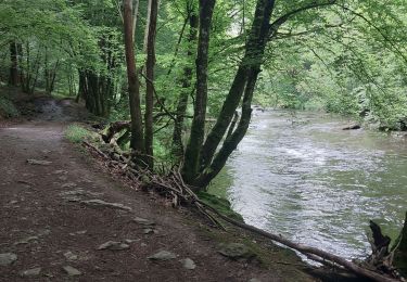 Randonnée V.T.T. Paliseul - vtt maissin lesse redu sechery - Photo