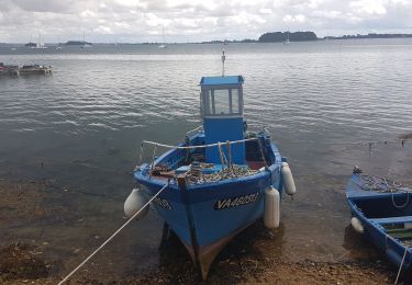 Percorso Marcia Île-aux-Moines - l'île aux moines 16-08-2020 - Photo