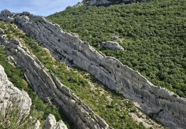 Randonnée Marche Plan-d'Aups-Sainte-Baume - La Tour de Cauvin les dents de la Roque Forcade et la grotte de la Grande Baume - Photo