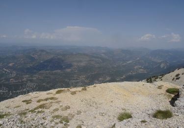 Randonnée Marche Bédoin - Montée au Ventoux depuis Les Clops à pieds - Photo