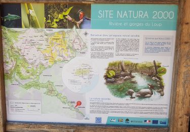 Excursión Senderismo Villeneuve-Loubet - villeneuve loubet - Photo