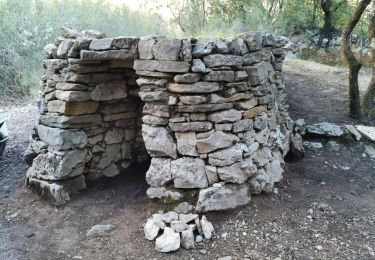 Excursión Senderismo Le Beausset - Quatre frères - Abîme de Maramoye - Photo
