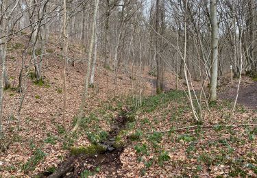 Tour Wandern Gesves - Balade des forges  - Photo