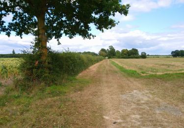 Tour Wandern Montbazon - Montbazon - Sorigny Monts GR46A GR655 - 29.6km 210m 6h20 (25mn) - 2021 08 28 - Photo