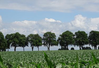 Tour Zu Fuß Wunstorf - S2 Hohenholzweg (Rundweg um Steinhude) - Photo