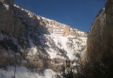 Randonnée Marche Châtillon-en-Diois - Archiane sous le neige - Photo