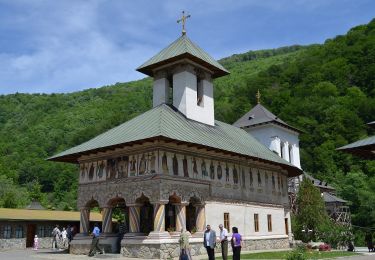 Percorso A piedi Petrila - Defileul Jiului - Șaua Prisloapelor - Vf. Parângul Mare - Photo