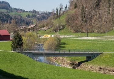 Randonnée A pied Neckertal - Brunnadern-Wilkehöchi - Photo