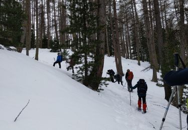 Tour Schneeschuhwandern Saint-Paul-sur-Ubaye - Fouillouse  - Photo