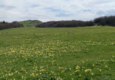 Tour Wandern Corbonod - SUR LYAND - Photo