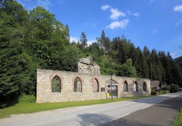 Randonnée A pied Gemeinde Spital am Semmering - Wanderweg 4 - Photo