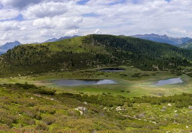 Tour Zu Fuß Villanders - AVS 6 - Gasserhütte - Schloss Reinegg - Photo