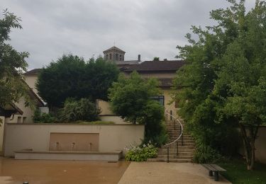 Tour Wandern Jaillans - Jaillans - Photo
