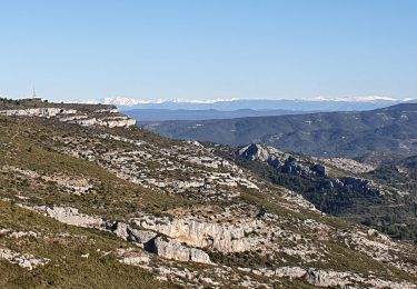 Excursión Carrera Aubagne - Garlaban - Photo