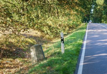 Percorso A piedi Wittenberg - Rundweg Friedenthaler Grund - Photo