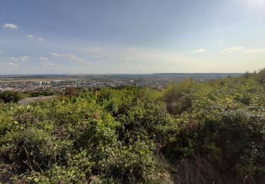 Tocht Stappen Dommartemont - Dommartemont  - Photo