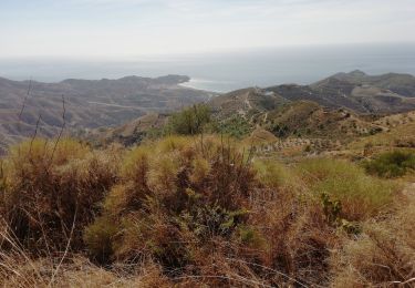 Tour Wandern Almuñécar - Au dessus de EL CERVAL - Photo