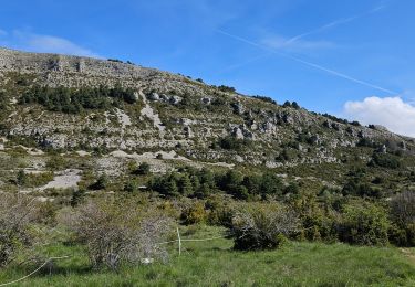 Trail Walking Caussols - De Caussols vers le sommet et le plateau de Calern - Photo