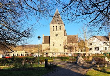 Tour Wandern Rochefort - Marche ADEPS Han-sur-Lesse 01/2025 - 22Km - Photo