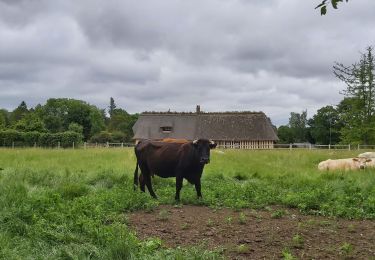 Trail Walking Condé-sur-Risle - Condé sur Risle - Photo