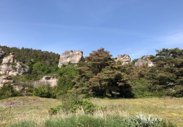 Trail Walking Millau - Millau le cun - Photo