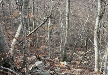 Tour Wandern Céret - Pic des salines - Photo